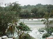 View of our garden in the Apokoronas