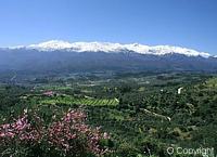 View of the White Mountains in the Apokoronas region